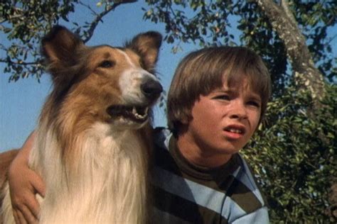 The Magic Of Lassie 1978 Starring Michael Sharrett