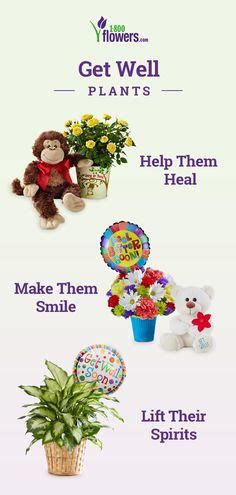 Available in blue, gold, and red, you can also buy a blue or red bud. 44 Get Well Flowers & Gifts ideas | get well flowers ...
