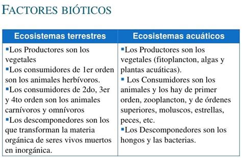 Factores Bióticos Tipos Relaciones Ejemplos Y Concepto Biótico Ovacen