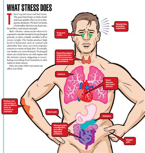 What Stress Does To Your Body Washingtonian