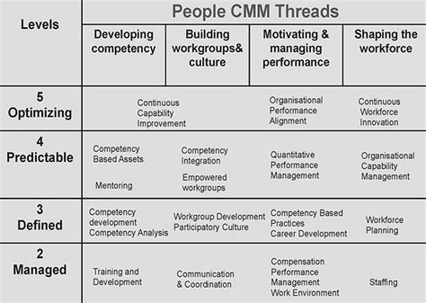 People Capability Maturity Model — P Cmm Plays In Business