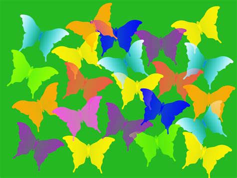 Colorful Butterflies Backgrounds Animals Green Nature Templates