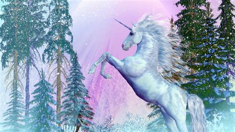 Facts About Unicorns 25 Fun Unicorns Facts To Wow You