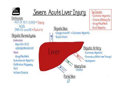 Severe Acute Liver Injury The Clinical Problem Solvers