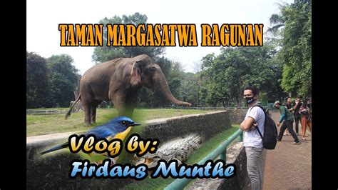 Vlog Kebun Binatang Ragunan By Firdaus Munthe Youtube
