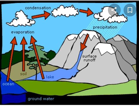 Draw And Explain The Water Cycle