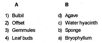 Plus Two Botany Chapter Wise Previous Questions Chapter 1 Reproduction