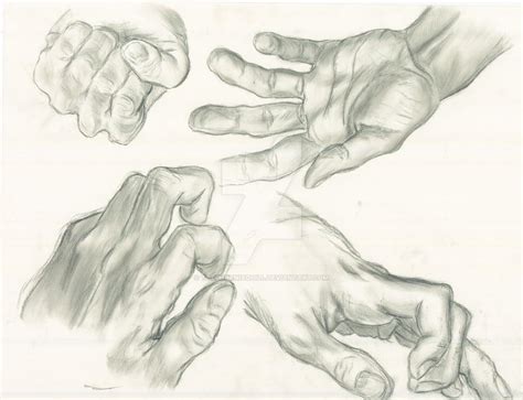 A Study Of The Hand By Thephoenixquill On Deviantart