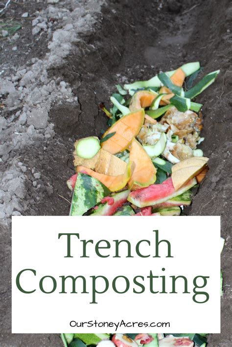 Trench Composting Fits Perfectly Into My Crazy Gardening Life Its