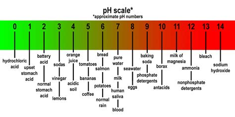Ph Acids And Bases