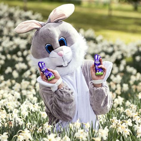 Easter Bunny Fun And Chocolate Too Warren Media