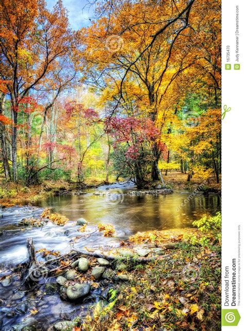 Autumn Stream With Mossy Rocks Stock Photo Image Of Moss Landscape