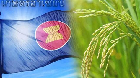 แนวทางการแก้ไขผลผลิตทางการเกษตรจากประเทศในกลุ่มอาเซียน | aec องค์กรความร่วมมือระหว่างประเทศ สู่ ...