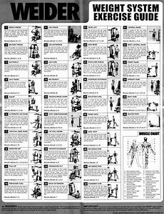 Weider Home Gym Exercises Charts Free Pdf Plans