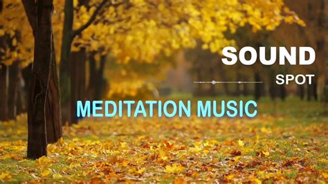 2 Hour Music For Meditation Sleeping Spa Massage Relaxation Yoga