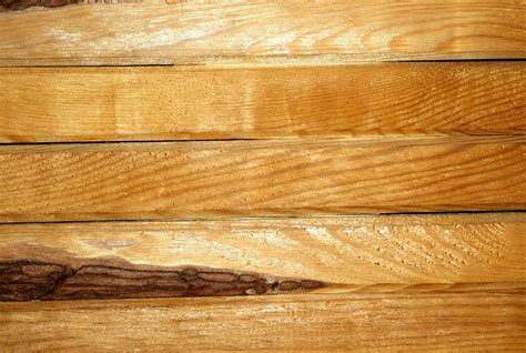 Free Images Tree Nature Board Texture Floor Building Beam