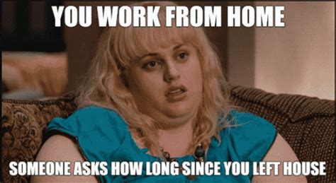 WORK FROM HOME MEMES DesignBump