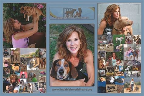 Linda Blair: What is an animal rescuer - Unconditional Love Foundation