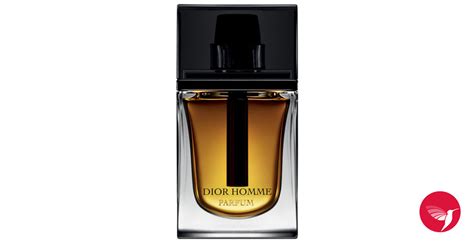 Dior homme parfum es un perfume masculino, intenso, amaderado y sensual de la firma de lujo dior. Dior Homme Parfum Christian Dior cologne - a fragrance for ...