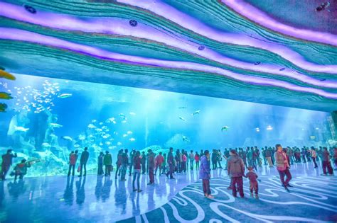 Chimelong Ocean Kingdom Worlds Largest Aquarium Opens In China Huffpost