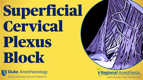 Superficial Cervical Plexus Block Youtube
