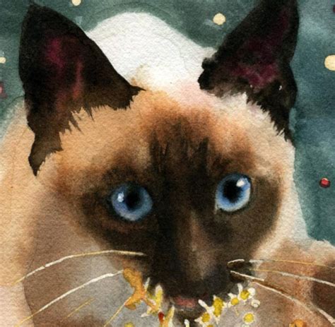 Christmas Siamese Cat Art Print Of A Watercolor Painting