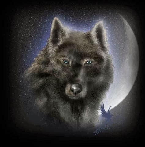 A Wolf With Blue Eyes Staring At The Moon