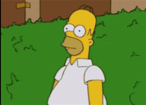 Hiding Meme GIF Hiding Meme Homer Discover Share GIFs