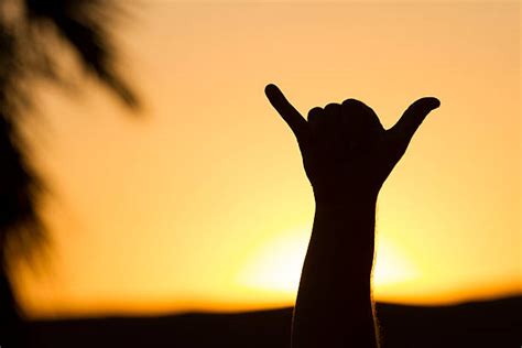 Royalty Free Hang Loose Hand Sign Pictures Images And Stock Photos