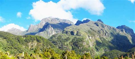 It is 120 km (75 mi) long and 48 km (30 mi) wide, covering almost 100,000 ha. How to Plan a Hike to Mount Rwenzori