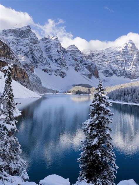 Free Download Winter Wallpaper Bing Images Winter 1