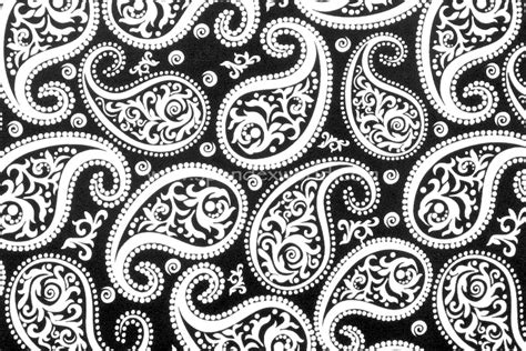 Paisley Prints Blackwhite Spandex World