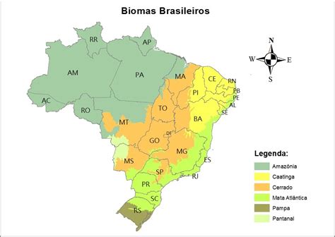 No Mapa Est O Representados Os Biomas Brasileiros Ensino