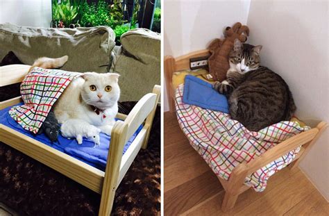 Japanese Cat Owners Turn Ikea Doll Beds Into Adorable Cat Beds Bored