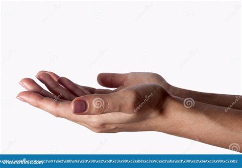 Outstretched Cupped Hands Of Young Woman Isolated On White Background