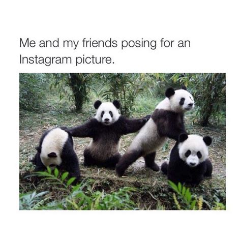 Conventional ordinary companions are incredible yet there are things we have carefully picked out the best best friend memes out there for you to scroll through and enjoy. 20 Best Friend Memes To Share With Your BFF | SayingImages.com