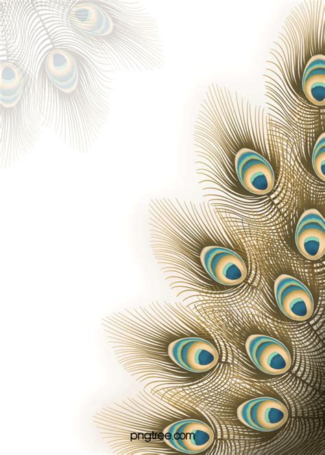 beautiful elegant yellow blue brown peacock feather wedding background beautiful elegance