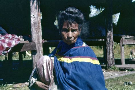 Florida Memory Portrait Of An Unidentified Seminole Indian Woman At