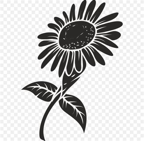 Vector Graphics Royalty Free Image Common Sunflower Clip Art Png