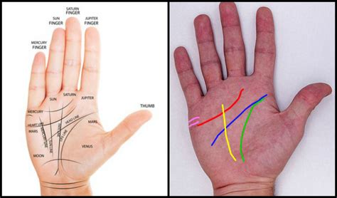 Aprende A Leer Las Manos En 3 Pasos