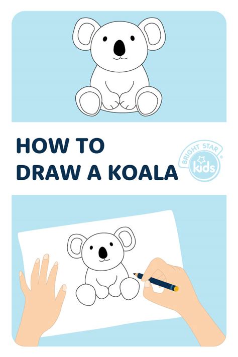 How To Draw A Koala Easy Koala Drawing Bright Star Kids