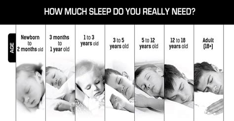How Many Hours You Need To Sleep According To Your Age Holistic