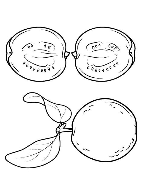 Guava coloring pages. Download and print Guava coloring pages.
