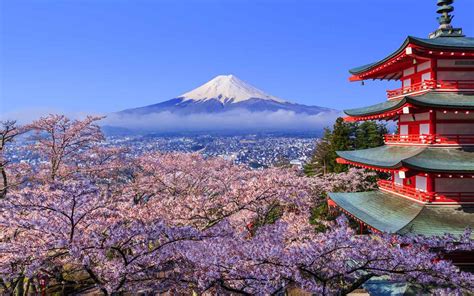 Japan Cherry Blossom Festival 2018 Where And When To Visit Travel Leisure
