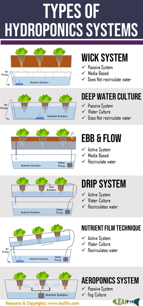 There Are 6 Basic Types Of Hydroponic Systems Wick Water Culture Ebb