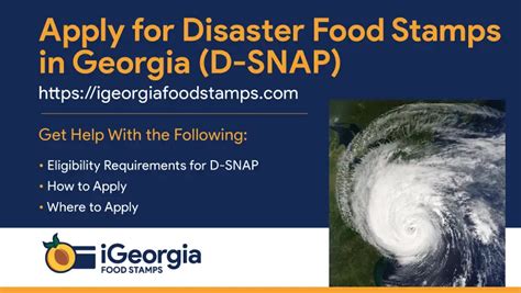 Apply for Disaster Food Stamps in Georgia - Georgia Food Stamps Help