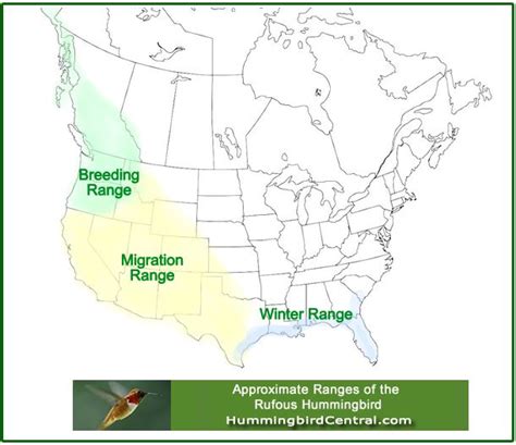 Map Showing The Approximate Migration And Breeding Ranges