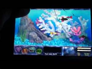 Fish Tycoon How To Get All 7 Magic Fish Part 2 Youtube