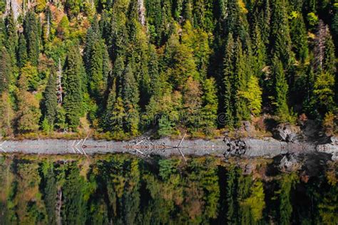 Spruce Trees Are Reflected In The Clear Water Of A Mountain Lake Stock