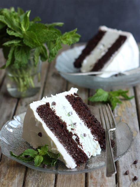 Mint Chocolate Chip Ice Cream Cake Completely Delicious